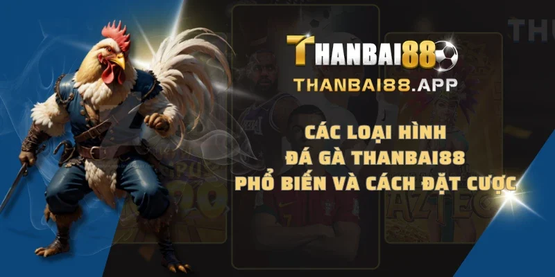 Các loại hình đá gà THANBAI88 phổ biến và cách đặt cược