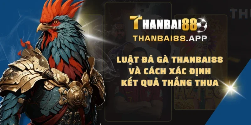 Luật đá gà THANBAI88 và cách xác định kết quả thắng thua