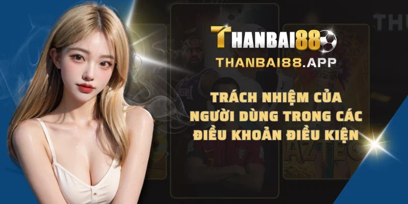 Trách nhiệm của người dùng trong các điều khoản điều kiện